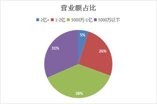 破局新徑 上海軟件開發帶來的客戶開拓新時代